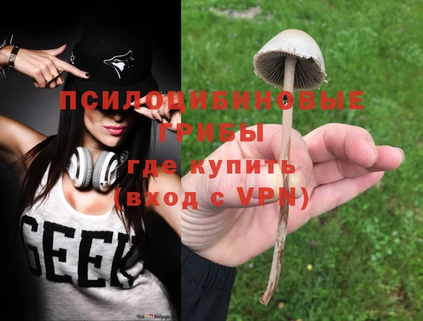 ешки Алексин