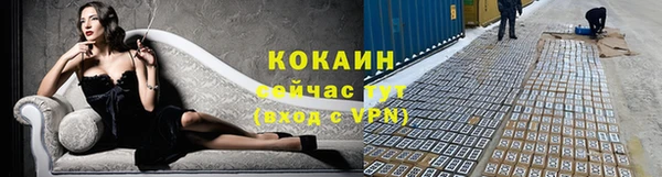 ешки Алексин