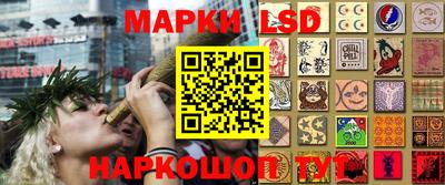 ПСИЛОЦИБИНОВЫЕ ГРИБЫ Боровичи
