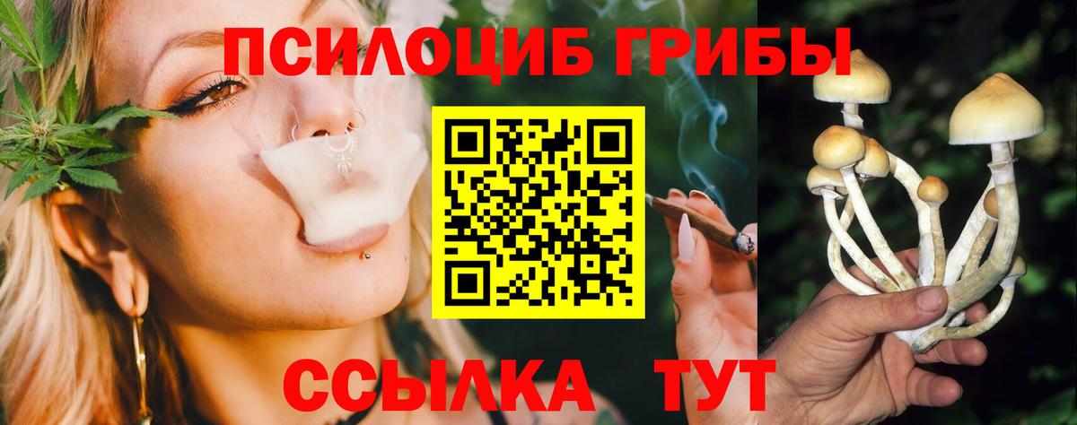 Галлюциногенные грибы Cubensis  Псилоцибиновые грибы GOLDEN TEACHER  Вход с VPN  Бахчисарай 